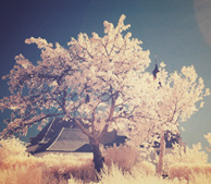 短信验证码轰炸卡盟免费